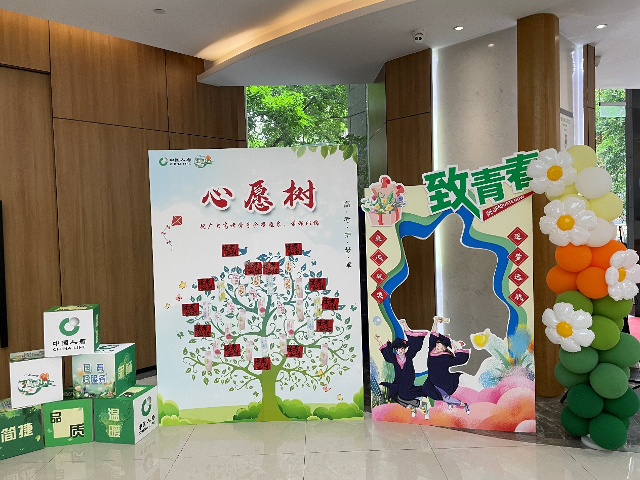 图片5