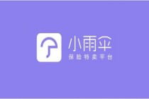 年保费逾10亿，小雨伞以服务反哺健康险线上销售 