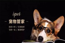 给宠物上医保？「ipet宠物管家」想一站式承包猫猫狗狗的吃喝玩乐 