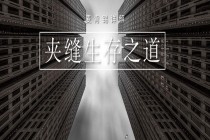 麦肯锡详解| 夹缝生存，本小利微，中小险企如何纾困突围？