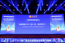 保险内容破圈新玩法！中国人寿短视频作品斩获金远奖金奖