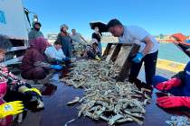 护航开海“第一鲜”,国寿筑牢海上人身安全防线